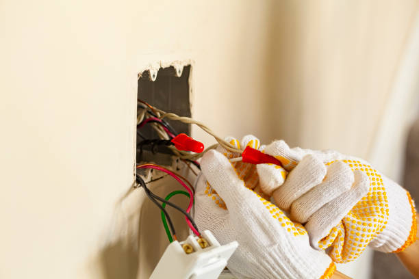 Best Electrical Panel Upgrades  in Langdon, ND